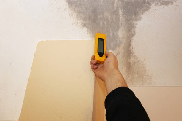 Best HVAC Mold Inspection and Cleaning  in Sutherland, NE