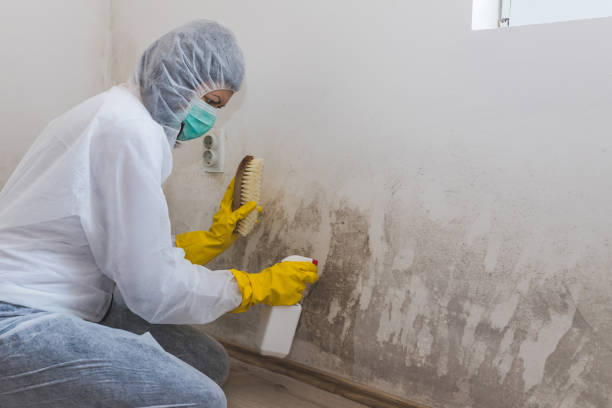 Best Emergency Mold Remediation  in Sutherland, NE