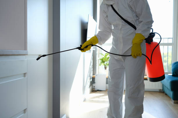 Best Post-Construction Mold Inspection  in Sutherland, NE