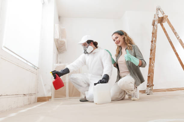 Best Black Mold Removal  in Sutherland, NE