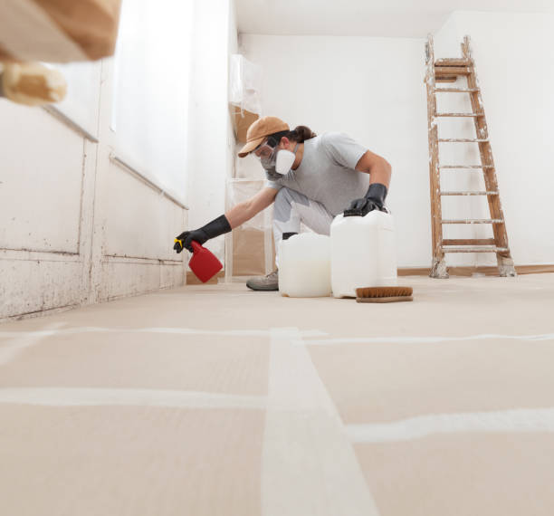 Best Mold Documentation for Insurance Claims  in Sutherland, NE