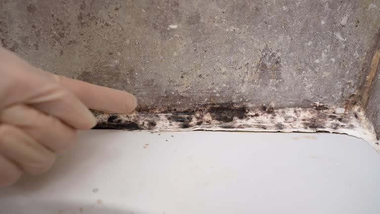 Best Residential Mold Inspection & Testing  in Sutherland, NE